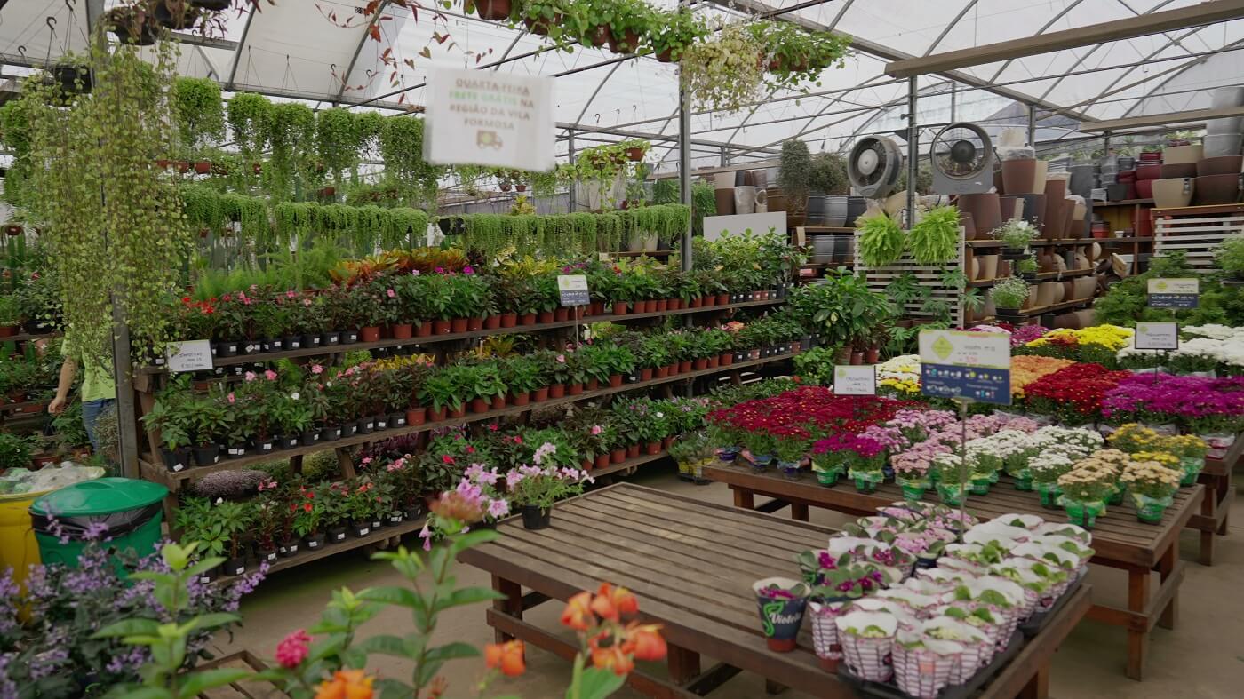 Gartencenter & Pflanzenmärkte