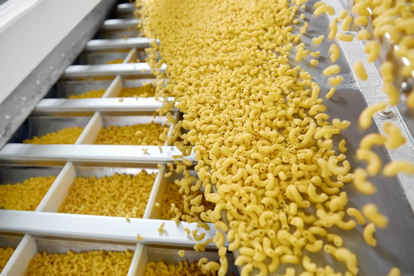 Teigwaren- & Nudelproduktion
